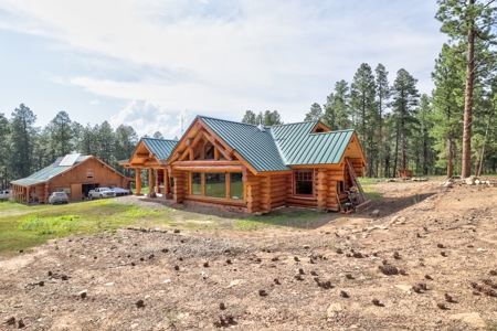 Log Home on Acreage For Sale in Mancos, CO - image 4