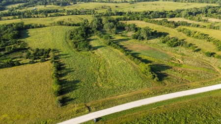 Diverse 145 +/- Acre Clarke County Farmland with CRP Income, - image 9