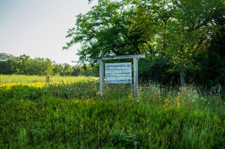 Diverse 145 +/- Acre Clarke County Farmland with CRP Income, - image 14