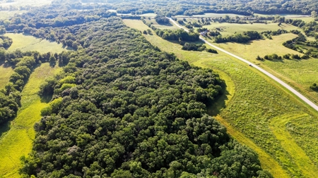 Diverse 145 +/- Acre Clarke County Farmland with CRP Income, - image 1