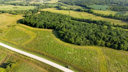 Diverse 145 +/- Acre Clarke County Farmland with CRP Income, - image 6
