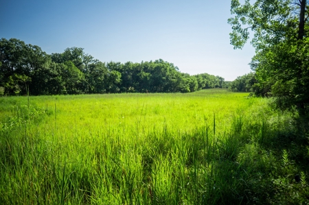 Diverse 145 +/- Acre Clarke County Farmland with CRP Income, - image 18