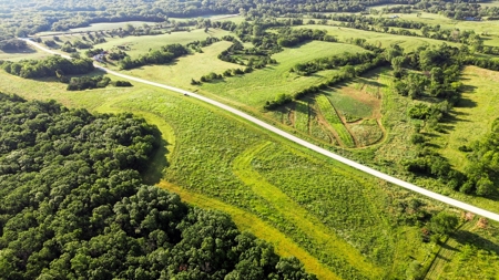 Diverse 145 +/- Acre Clarke County Farmland with CRP Income, - image 11