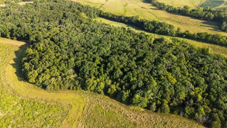 Diverse 145 +/- Acre Clarke County Farmland with CRP Income, - image 7