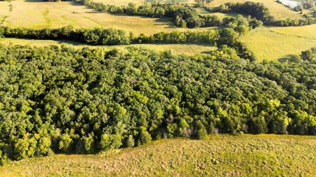 Diverse 145 +/- Acre Clarke County Farmland with CRP Income, - image 3