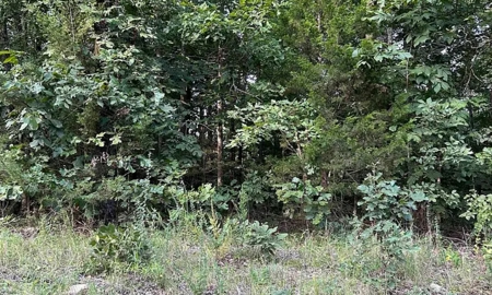 Riverfront Acreage For Sale in Hardy Arkansas - image 1