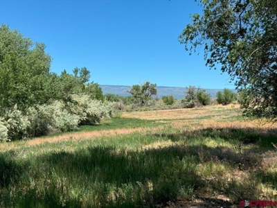 Colorado country home with acreage, 2 living areas, ponds - image 8