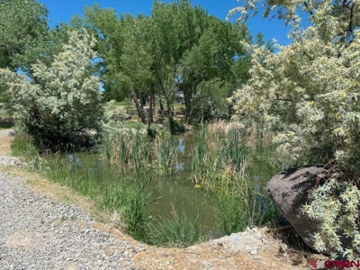 Colorado country home with acreage, 2 living areas, ponds - image 9