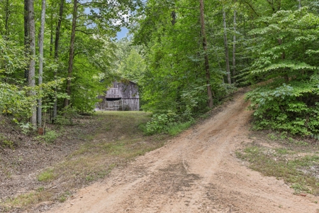 Country Home for Sale in Hickman County, Tennessee - image 30