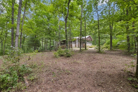 Country Home for Sale in Hickman County, Tennessee - image 5