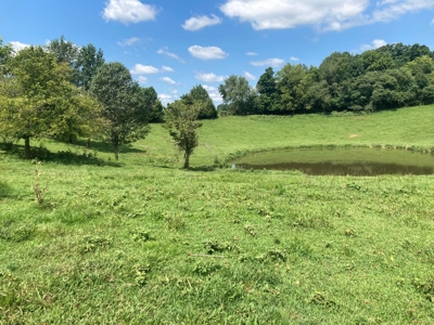 Farm For Sale in Barren County, Kentucky - image 6