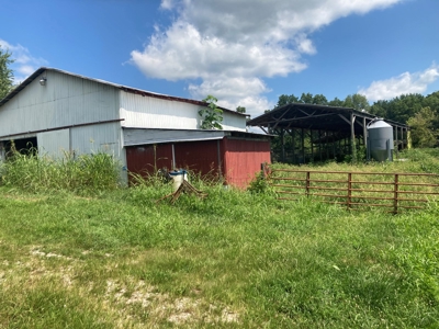 Farm For Sale in Barren County, Kentucky - image 11