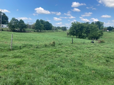 Farm For Sale in Barren County, Kentucky - image 4