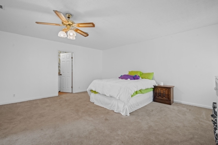 Golf Resort Community in Hot Springs, AR - image 26