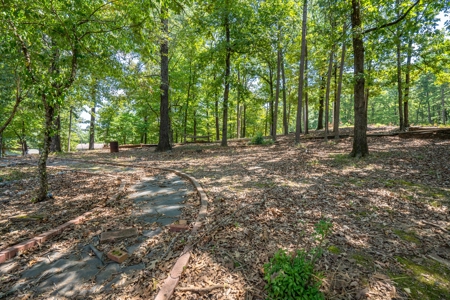 Golf Resort Community in Hot Springs, AR - image 8