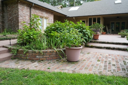 House 5000 Sq Ft 5 Br 4.5 Bath SW MS with 7.6 Acres - image 9