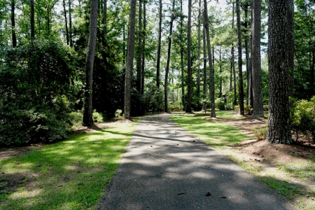 House 5000 Sq Ft 5 Br 4.5 Bath SW MS with 7.6 Acres - image 46