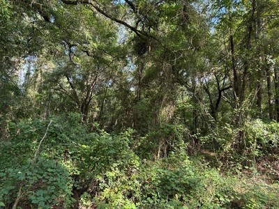 22.41 Acres For Sale In Lake City Florida - image 7