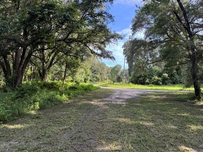 22.41 Acres For Sale In Lake City Florida - image 1