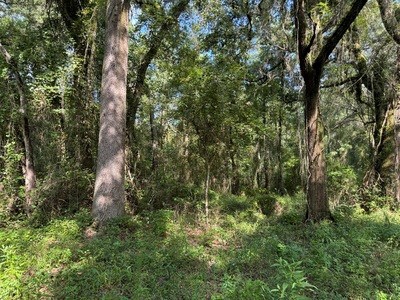 22.41 Acres For Sale In Lake City Florida - image 10