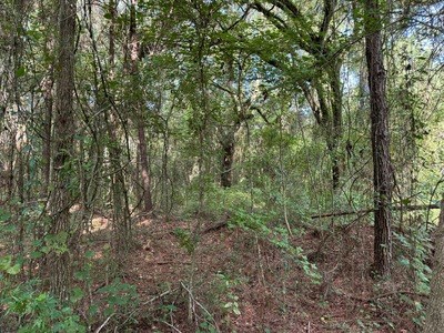 22.41 Acres For Sale In Lake City Florida - image 8