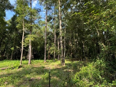 22.41 Acres For Sale In Lake City Florida - image 6