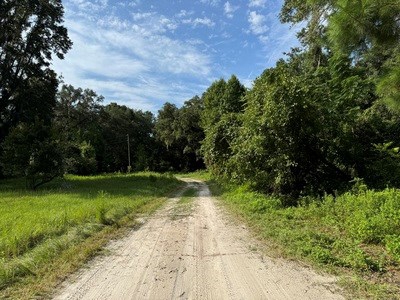 22.41 Acres For Sale In Lake City Florida - image 11