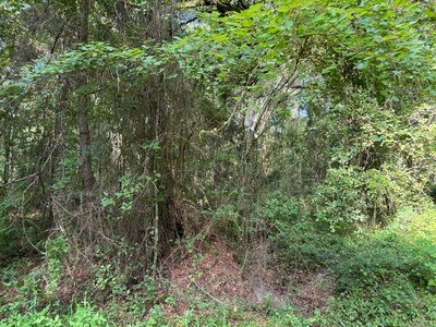 22.41 Acres For Sale In Lake City Florida - image 9