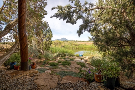 Custom Built Home on Acreage in Cortez, CO For Sale - image 27