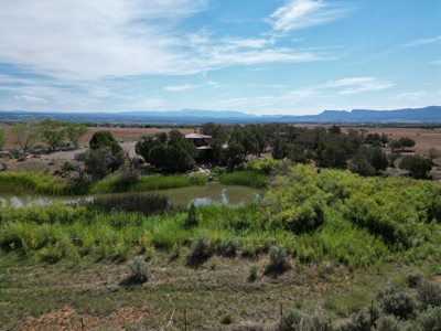 Custom Built Home on Acreage in Cortez, CO For Sale - image 9