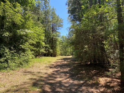 7+ Lakefront Acres in Shelby County, TX - image 8