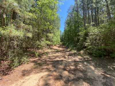7+ Lakefront Acres in Shelby County, TX - image 3