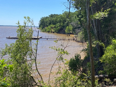 7+ Lakefront Acres in Shelby County, TX - image 19