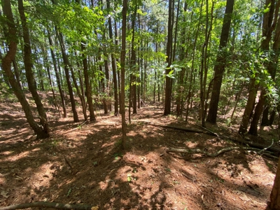 7+ Lakefront Acres in Shelby County, TX - image 13
