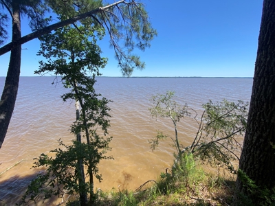 7+ Lakefront Acres in Shelby County, TX - image 1