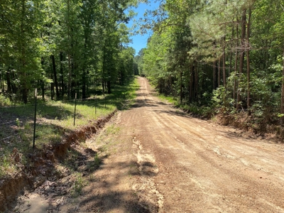 7+ Lakefront Acres in Shelby County, TX - image 2