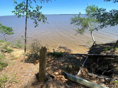 7+ Lakefront Acres in Shelby County, TX - image 23