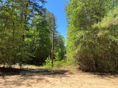 7+ Lakefront Acres in Shelby County, TX - image 5