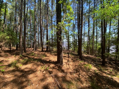 7+ Lakefront Acres in Shelby County, TX - image 16