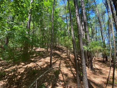 7+ Lakefront Acres in Shelby County, TX - image 15