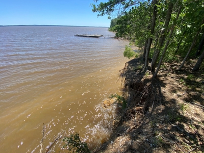 7+ Lakefront Acres in Shelby County, TX - image 21
