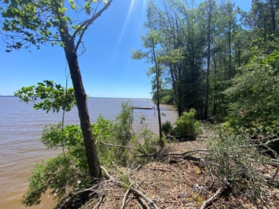 7+ Lakefront Acres in Shelby County, TX - image 17