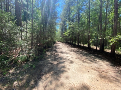 7+ Lakefront Acres in Shelby County, TX - image 4