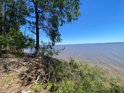 7+ Lakefront Acres in Shelby County, TX - image 18