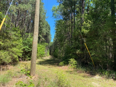 7+ Lakefront Acres in Shelby County, TX - image 7