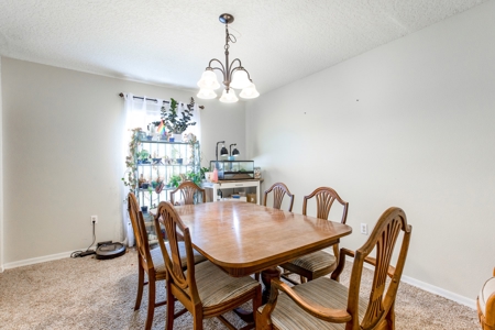 Home For Sale In Lake County Florida!!! - image 13