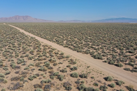 Nevada Horse Property Buildable Land For Sale Smith Valley - image 3