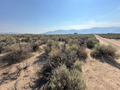 Nevada Horse Property Buildable Land For Sale Smith Valley - image 12