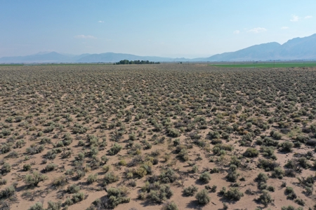 Nevada Horse Property Buildable Land For Sale Smith Valley - image 2