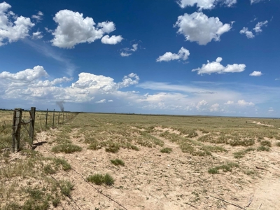 Expansive 540-Acre Grazing Land in Torrance County - image 2